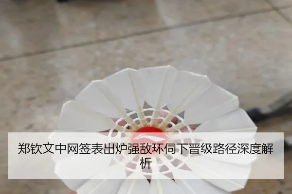 郑钦文中网签表出炉强敌环伺下晋级路径深度解析（KAIYUN）